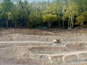Ein Bagger gräbt in Erde und hinter ihm befindet sich ein Wald.